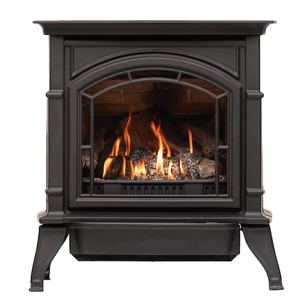 Ashley Hearth Products 23,500 BTU Vented Dual Fuel Cast Iron Gas Stove Heater AG23